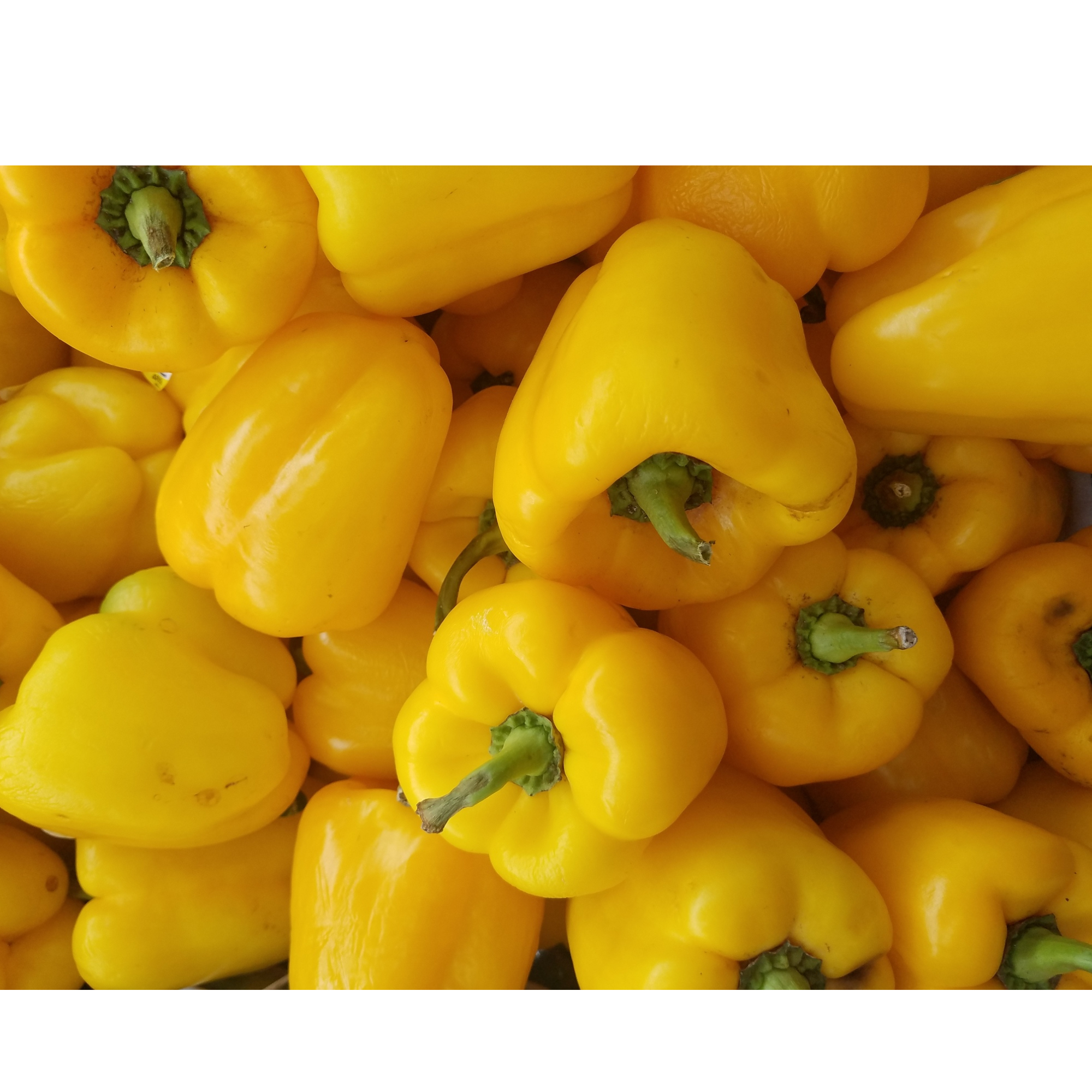 YellowPepper