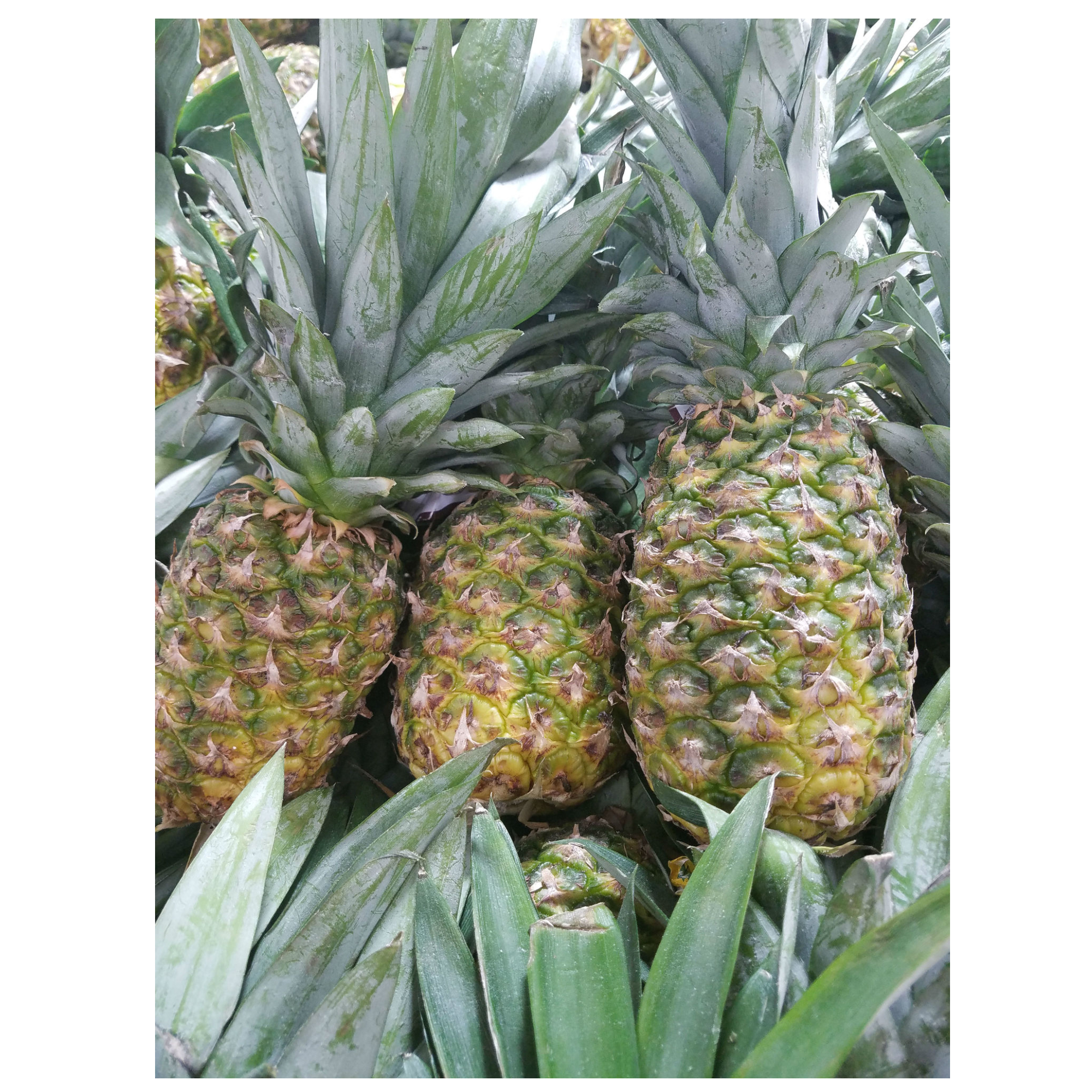 pineapple